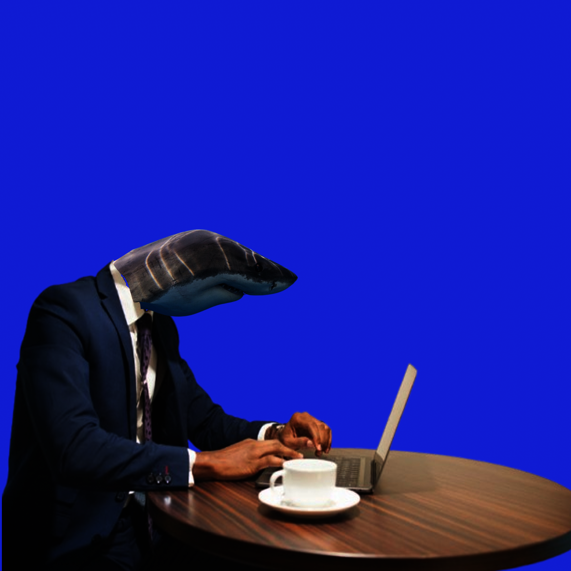 placeholder.webp