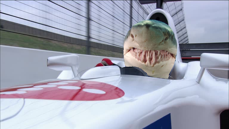 SharkSuit Racing Art