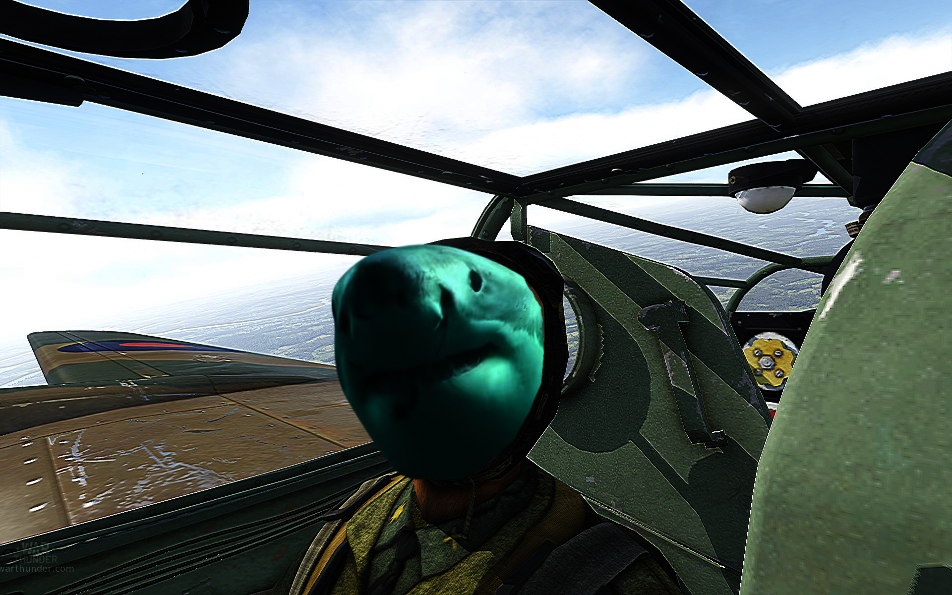 War Thunder Shark Art